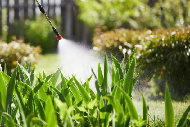 24/7 Emergency Mosquito Control experts in Warsaw, KY